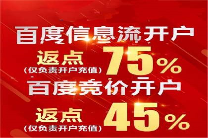 百度SEO推广公司案例分析：成功案例解析